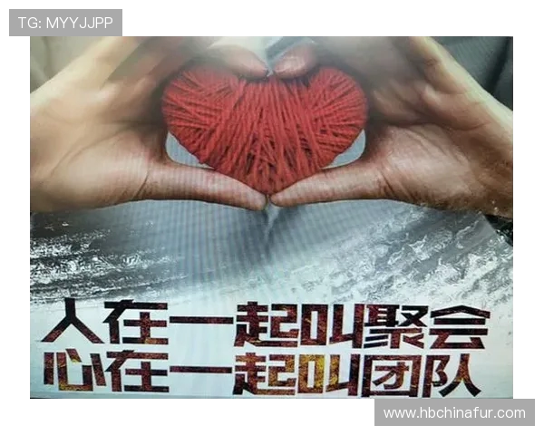 成都乒乓球队的团队协作之道：凝聚力与默契的完美结合